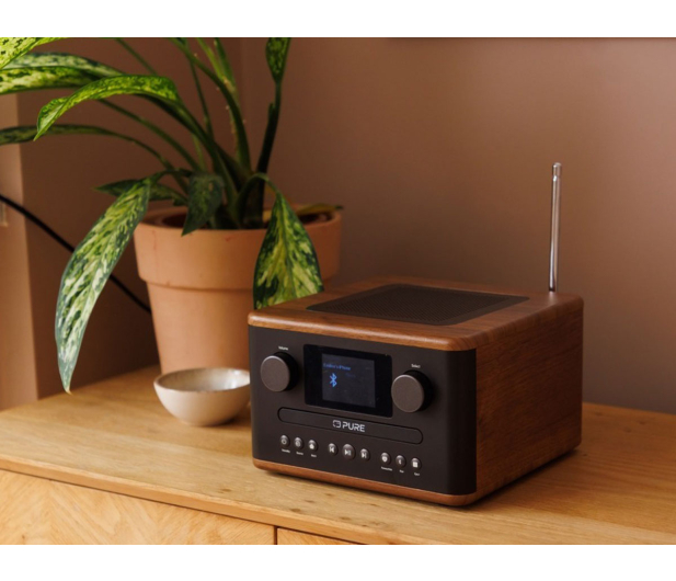 PURE Classic C-D4 Coffee Brown/Walnut EU/UK - 1538312 - zdjęcie 5